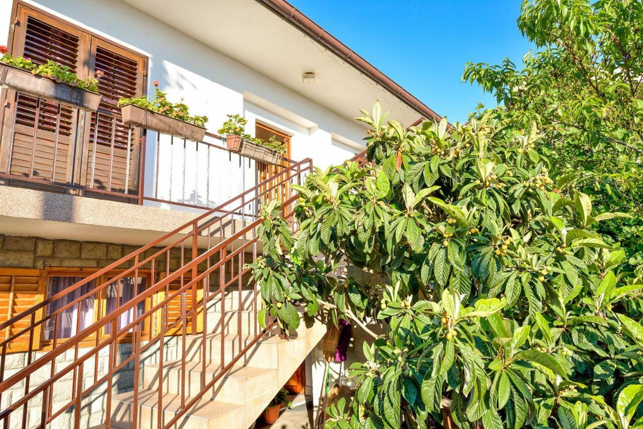 Apartman Jadranka 比比涅 外观 照片
